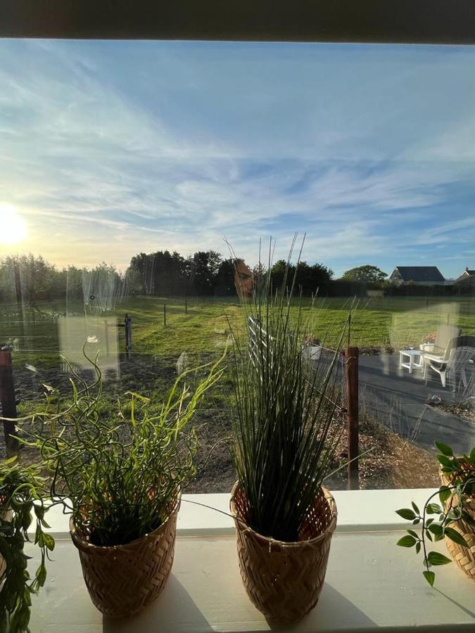 Bed and Breakfast De Tulp Noordgouwe Екстер'єр фото