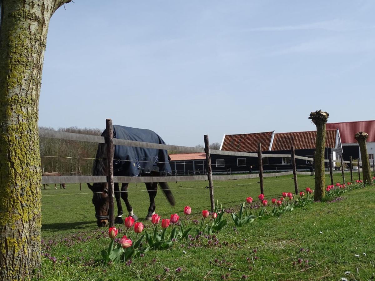Bed and Breakfast De Tulp Noordgouwe Екстер'єр фото