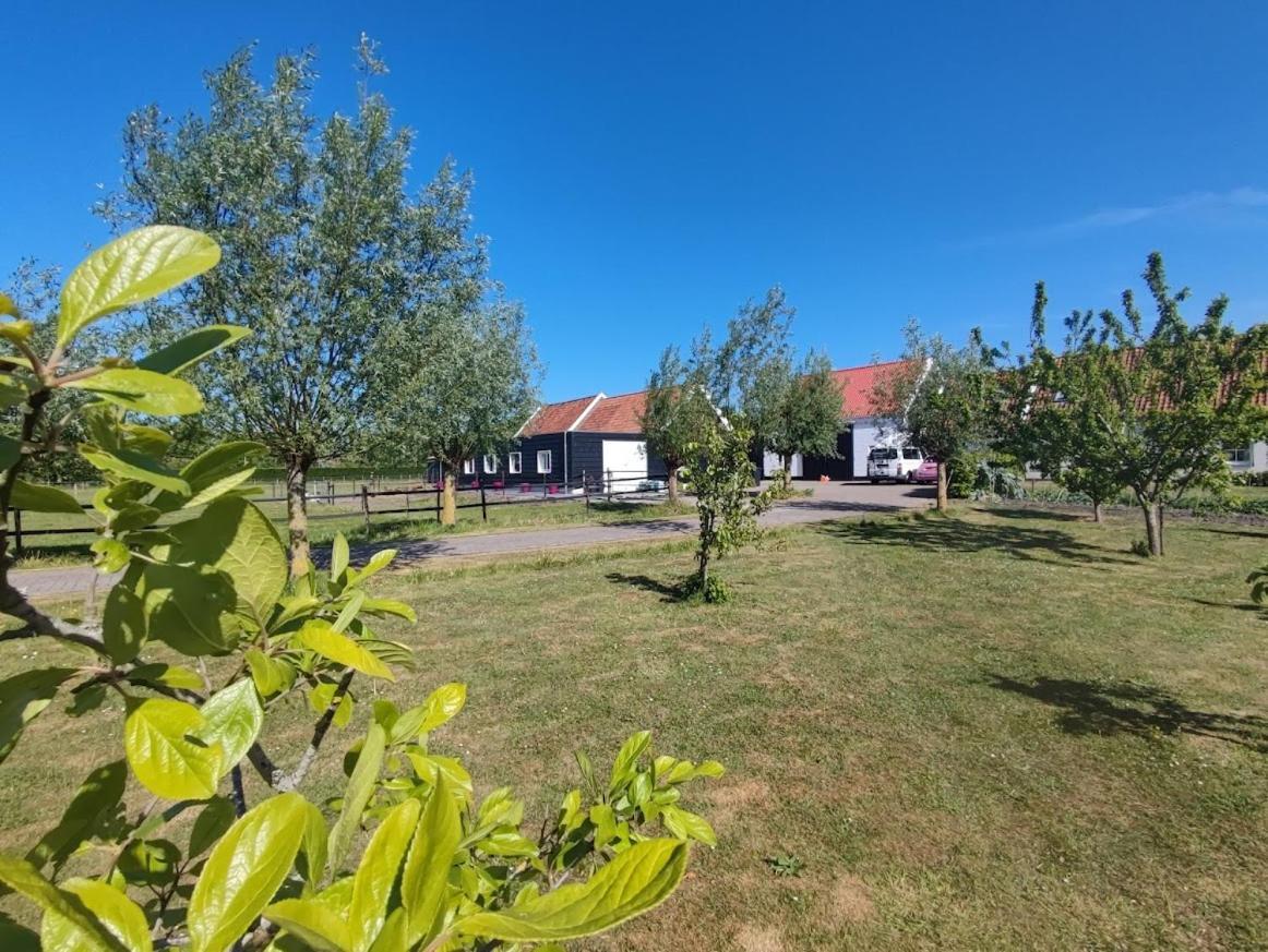 Bed and Breakfast De Tulp Noordgouwe Екстер'єр фото